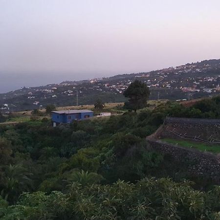 La Sabana Guest House Buenavista de Abajo Екстериор снимка