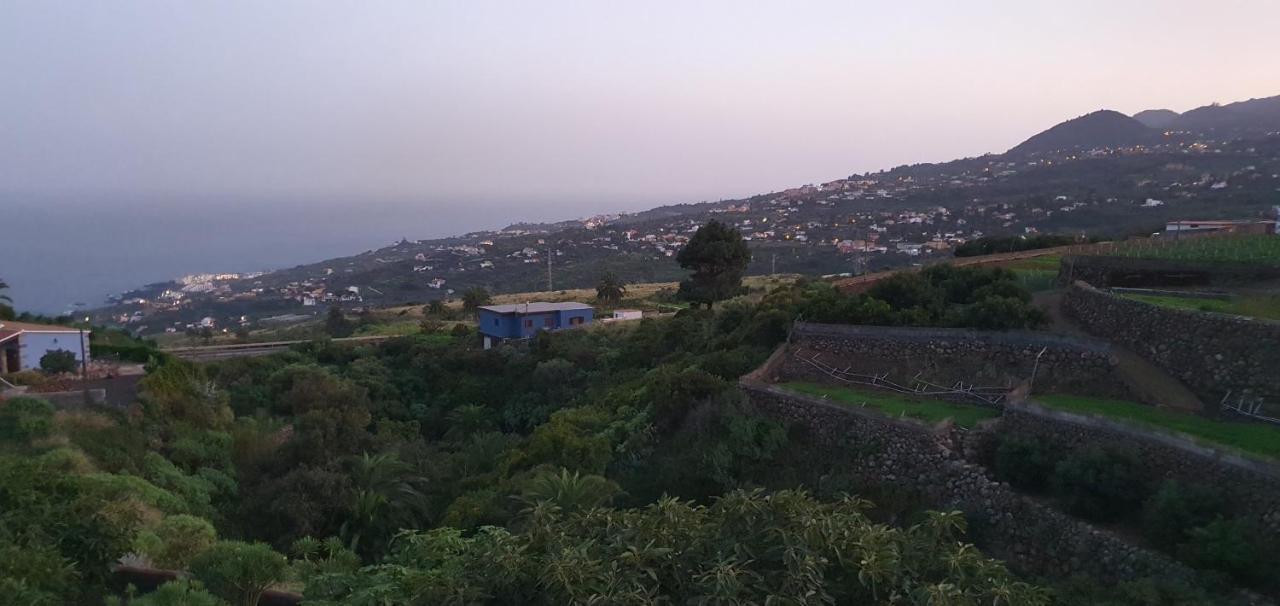 La Sabana Guest House Buenavista de Abajo Екстериор снимка