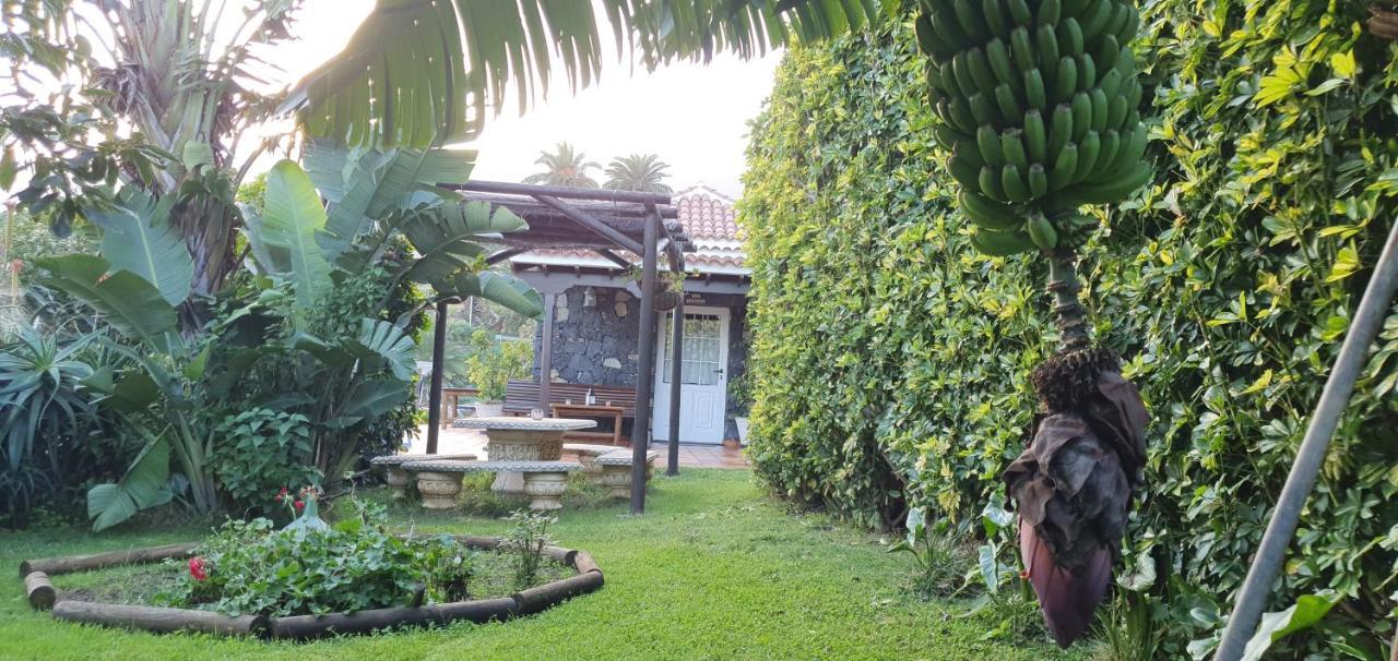 La Sabana Guest House Buenavista de Abajo Екстериор снимка