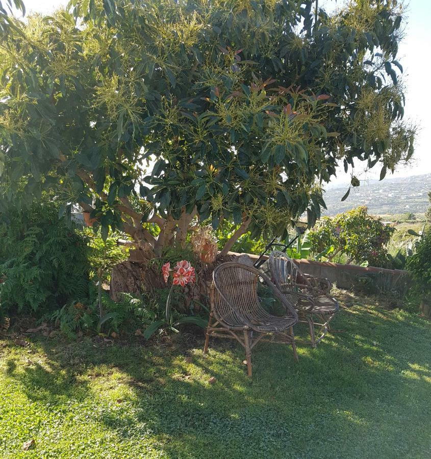 La Sabana Guest House Buenavista de Abajo Екстериор снимка